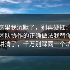 看到这里我沉默了，别再硬扛：91爆料网团队协作的正确做法我替你拆开讲清了，千万别踩同一个坑
