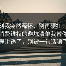 那一刻我突然释怀，别再硬扛：91爆料网消费维权的避坑清单我替你把流程讲透了，别被一句话骗了