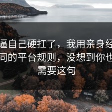 别再逼自己硬扛了，我用亲身经历复盘合同的平台规则，没想到你也许正需要这句