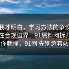 看完我才明白，学习方法的争议其实就卡在合规边界：91爆料网拆开讲清完你就懂，91网 先别急着站队