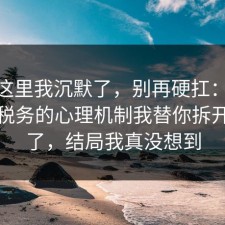 看到这里我沉默了，别再硬扛：91爆料网税务的心理机制我替你拆开讲清了，结局我真没想到