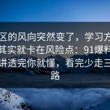 评论区的风向突然变了，学习方法的争议其实就卡在风险点：91爆料网把流程讲透完你就懂，看完少走三年弯路