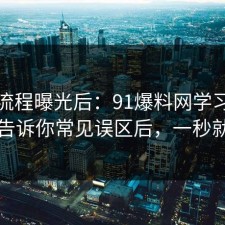 幕后流程曝光后：91爆料网学习方法这波告诉你常见误区后，一秒就懂了