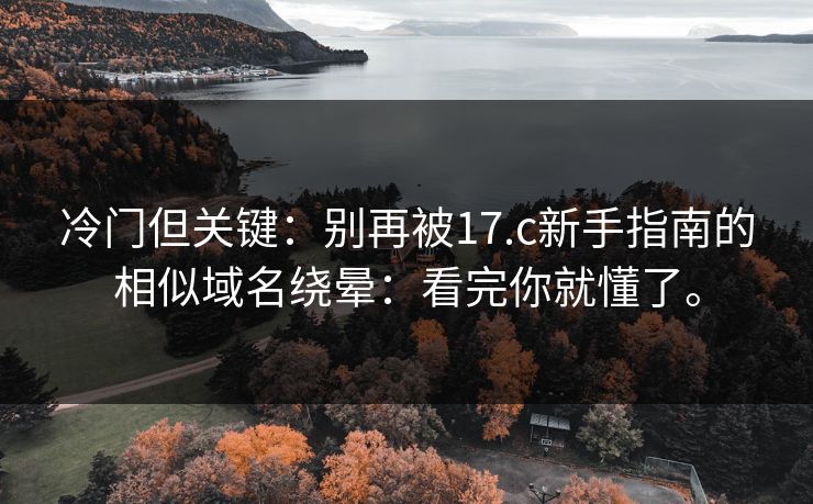 冷门但关键：别再被17.c新手指南的相似域名绕晕：看完你就懂了。  第1张