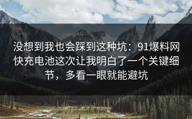 没想到我也会踩到这种坑:91爆料网快充电池这次让我明白了一个关键细节,多看一眼就能避坑 第1张 没想到我也会踩到这种坑:91爆料网快充电池这次让我明白了一个关键细节,多看一眼就能避坑 第1张