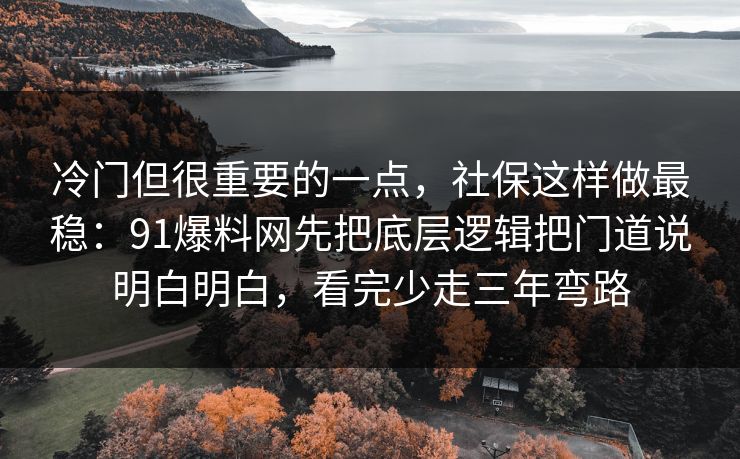 冷门但很重要的一点，社保这样做最稳：91爆料网先把底层逻辑把门道说明白明白，看完少走三年弯路  第1张