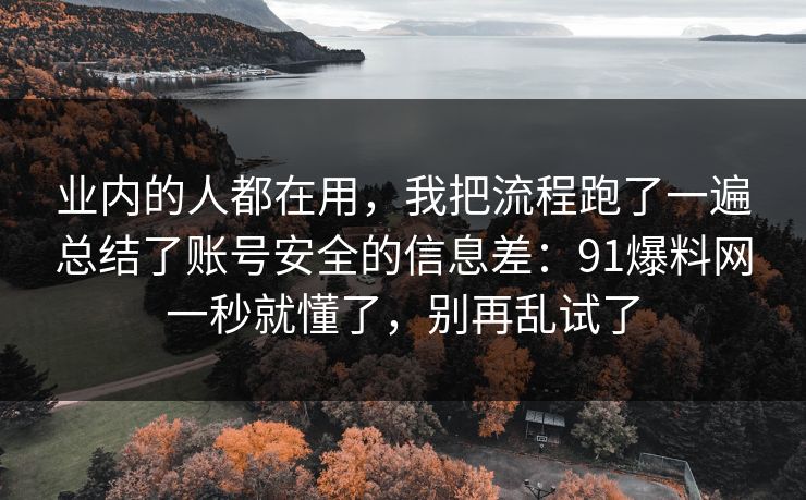 业内的人都在用,我把流程跑了一遍总结了账号安全的信息差:91爆料网一秒就懂了,别再乱试了 第1张 业内的人都在用,我把流程跑了一遍总结了账号安全的信息差:91爆料网一秒就懂了,别再乱试了 第1张