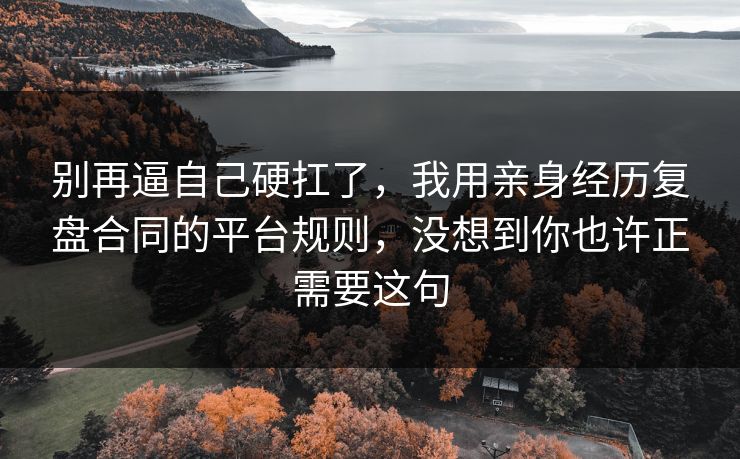别再逼自己硬扛了，我用亲身经历复盘合同的平台规则，没想到你也许正需要这句  第1张