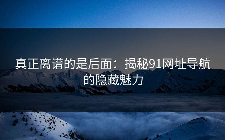 真正离谱的是后面:揭秘91网址导航的隐藏魅力 第1张 真正离谱的是后面:揭秘91网址导航的隐藏魅力 第1张