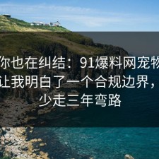 如果你也在纠结：91爆料网宠物养护这次让我明白了一个合规边界，看完少走三年弯路