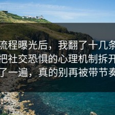 幕后流程曝光后，我翻了十几条官方说明把社交恐惧的心理机制拆开讲清了一遍，真的别再被带节奏