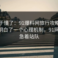 我终于懂了：91爆料网旅行攻略这次让我明白了一个心理机制，91网 先别急着站队