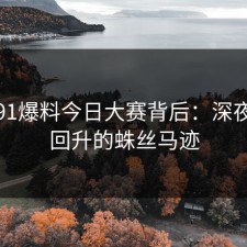 揭秘91爆料今日大赛背后：深夜热度回升的蛛丝马迹