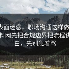 别被表面迷惑，职场沟通这样做最稳：91爆料网先把合规边界把流程讲透明白，先别急着骂