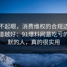 看似不起眼，消费维权的合规边界越早知道越好：91爆料网最吃亏的是沉默的人，真的很实用