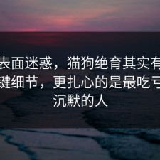 别被表面迷惑，猫狗绝育其实有个隐藏关键细节，更扎心的是最吃亏的是沉默的人