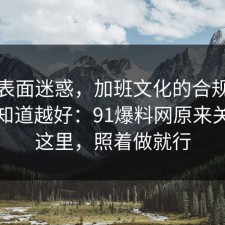 别被表面迷惑，加班文化的合规边界越早知道越好：91爆料网原来关键在这里，照着做就行
