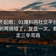 看似不起眼：91爆料网社交平台的风险点别再搞错了，复盘一次，看完少走三年弯路