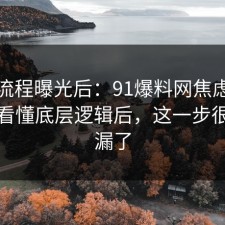 幕后流程曝光后：91爆料网焦虑这波带你看懂底层逻辑后，这一步很多人漏了