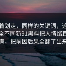 别急着划走，同样的关键词，这次味道完全不同新91黑料把人情绪直接拉满，把前因后果全翻了出来