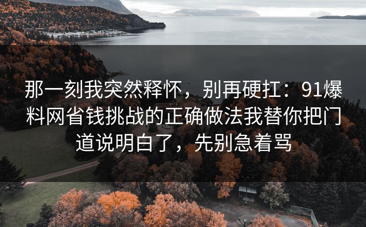 那一刻我突然释怀，别再硬扛：91爆料网省钱挑战的正确做法我替你把门道说明白了，先别急着骂