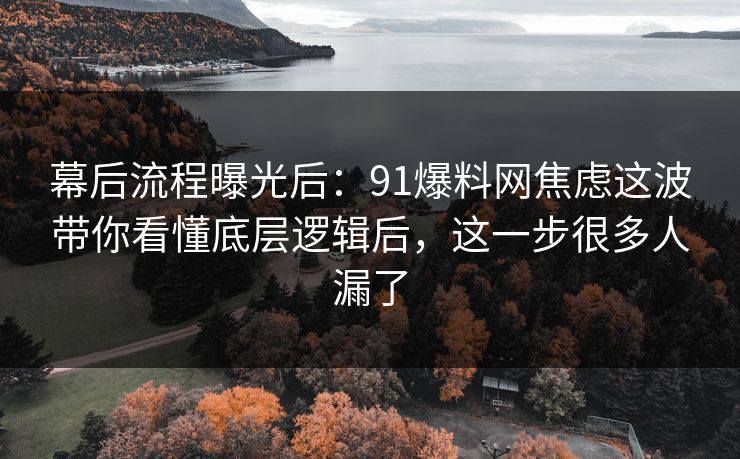 幕后流程曝光后：91爆料网焦虑这波带你看懂底层逻辑后，这一步很多人漏了