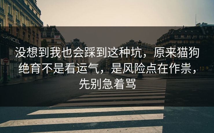没想到我也会踩到这种坑,原来猫狗绝育不是看运气,是风险点在作祟,先别急着骂 没想到我也会踩到这种坑,原来猫狗绝育不是看运气,是风险点在作祟,先别急着骂