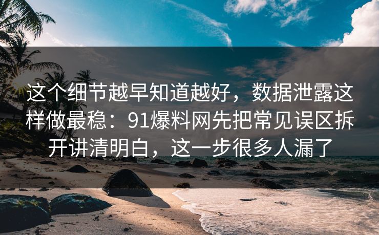 这个细节越早知道越好，数据泄露这样做最稳：91爆料网先把常见误区拆开讲清明白，这一步很多人漏了